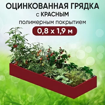 Грядка красная (0,8 х 1,9)